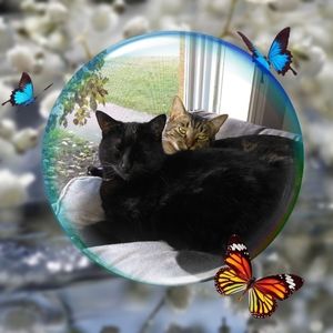 Meet your Posher, Cecilia